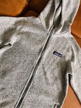 Patagonia Better Sweaters Hooded Full-zip Fleece (Grey)